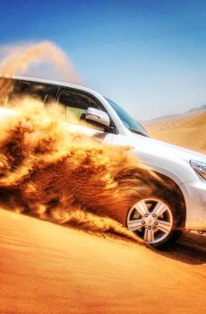 Desert Safari - Direct to Desert